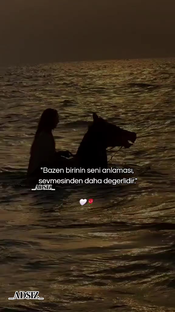 @_ADSIZ_