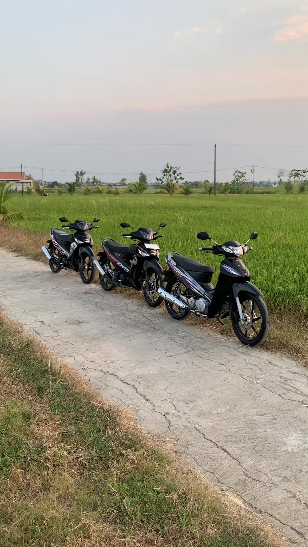 @𝗽𝗮𝗹𝗹