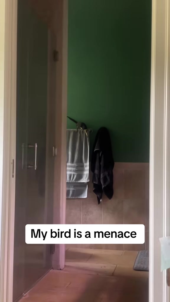 @Crazycaimanlady