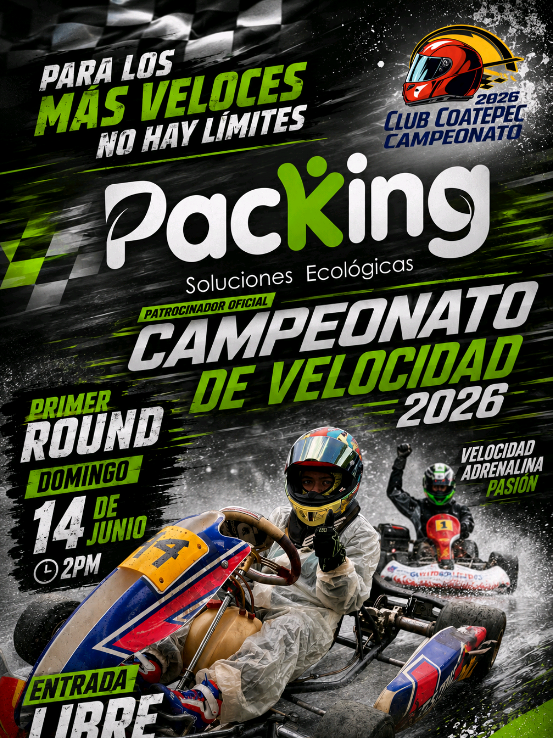 @gokartscoatepec