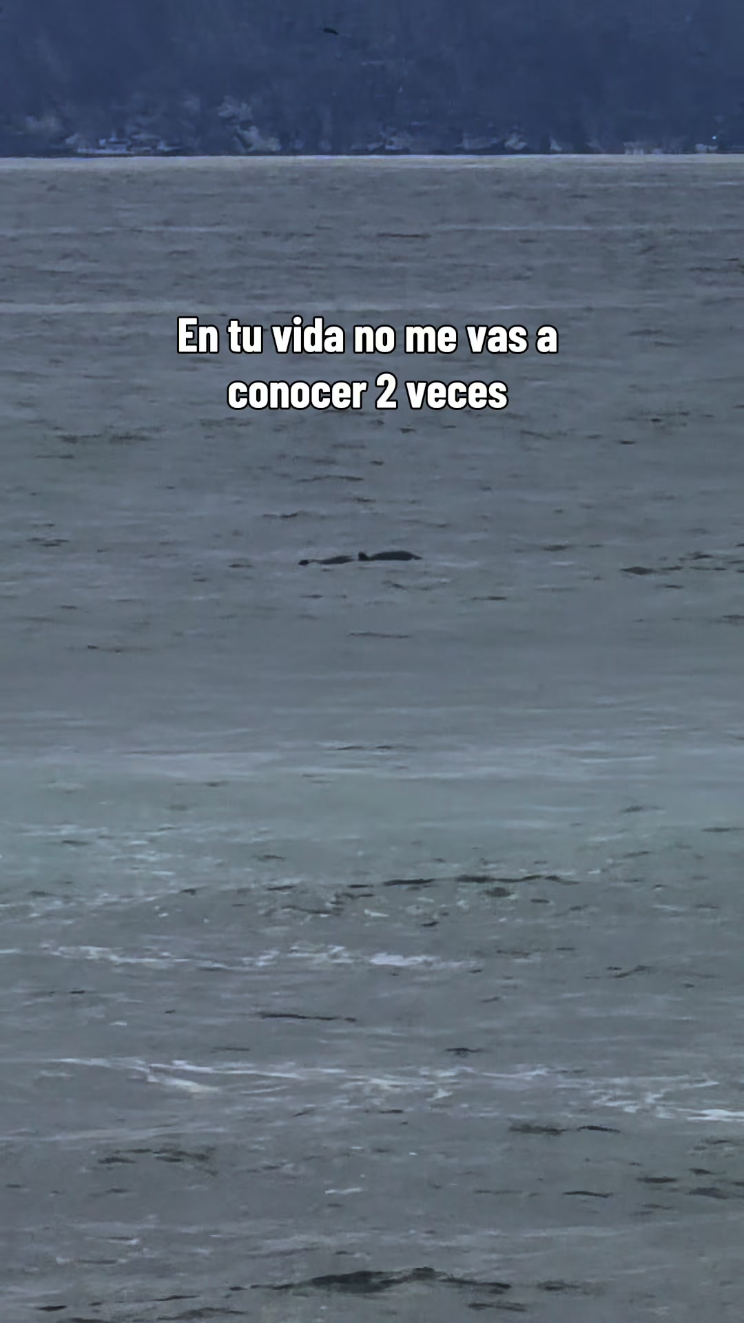 @dianamxlivlogs