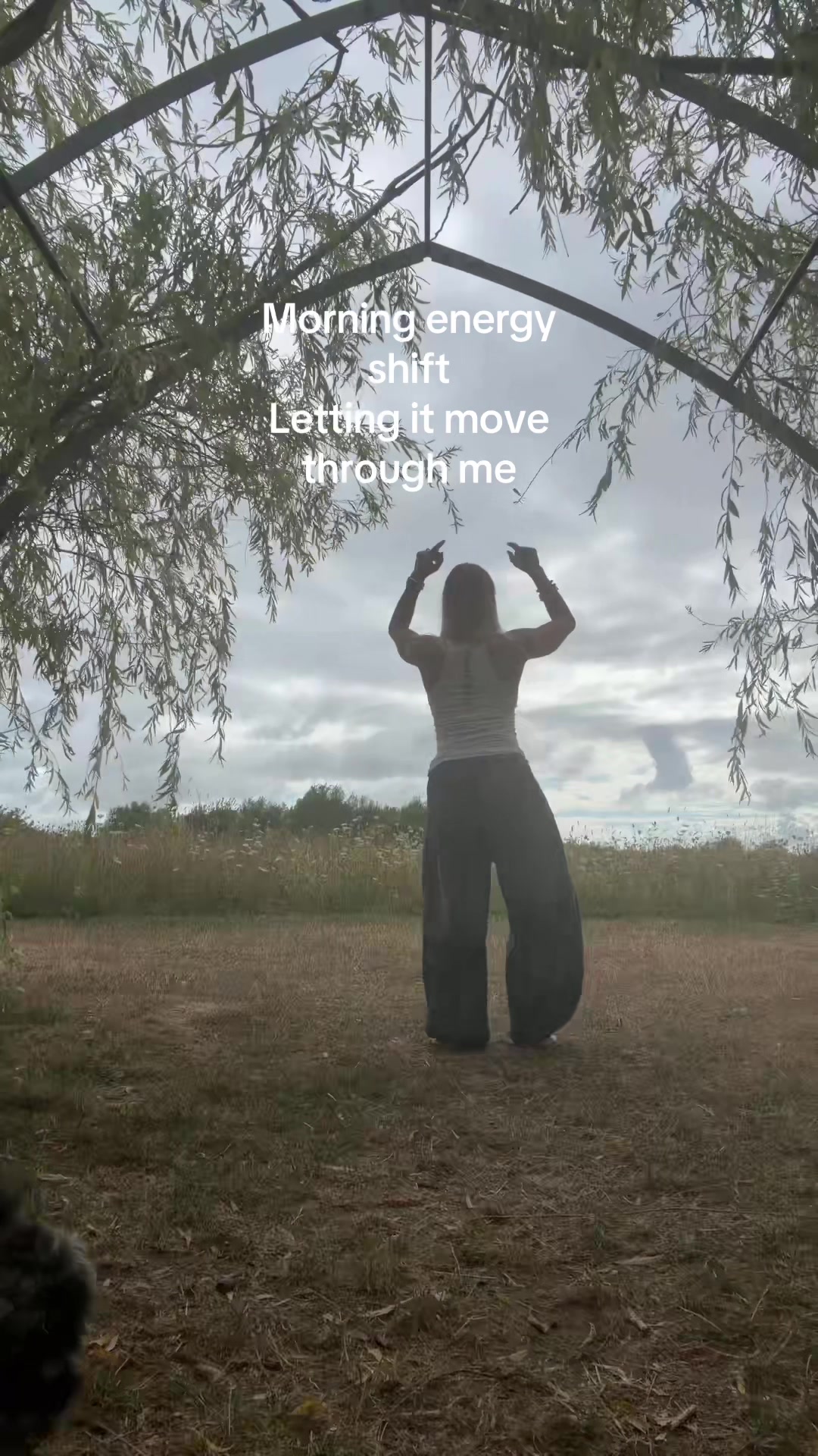 @forest.moon.wellbeing