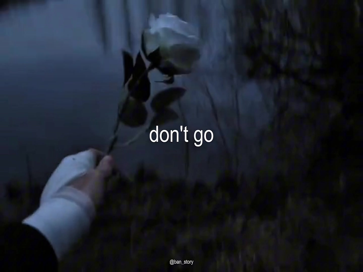 @🎧🎶