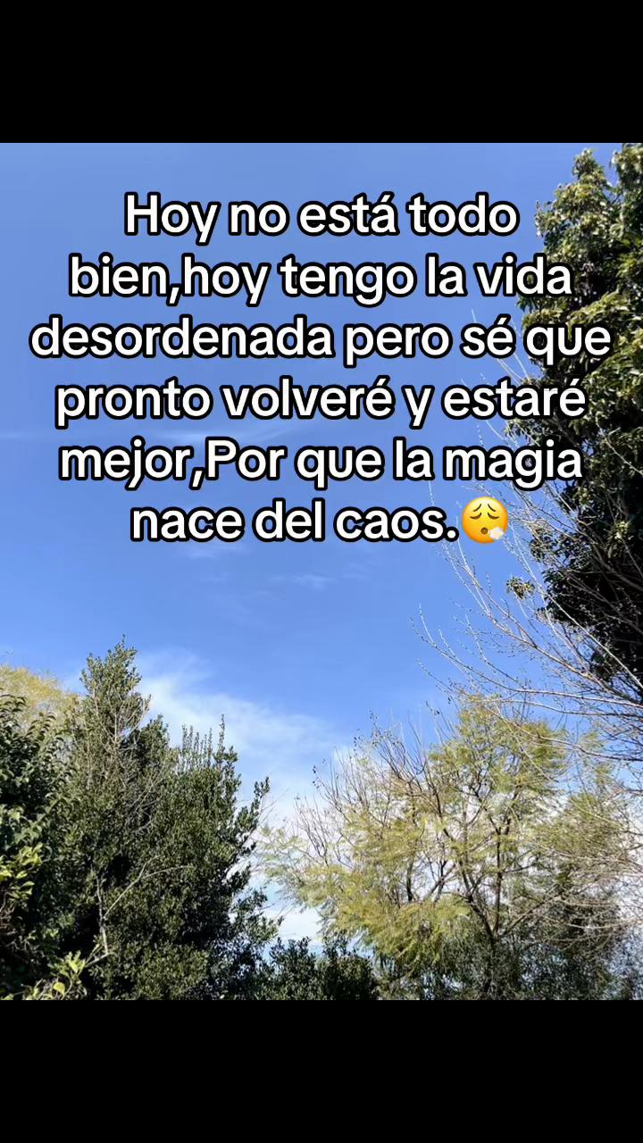 @sasha.barrozo0