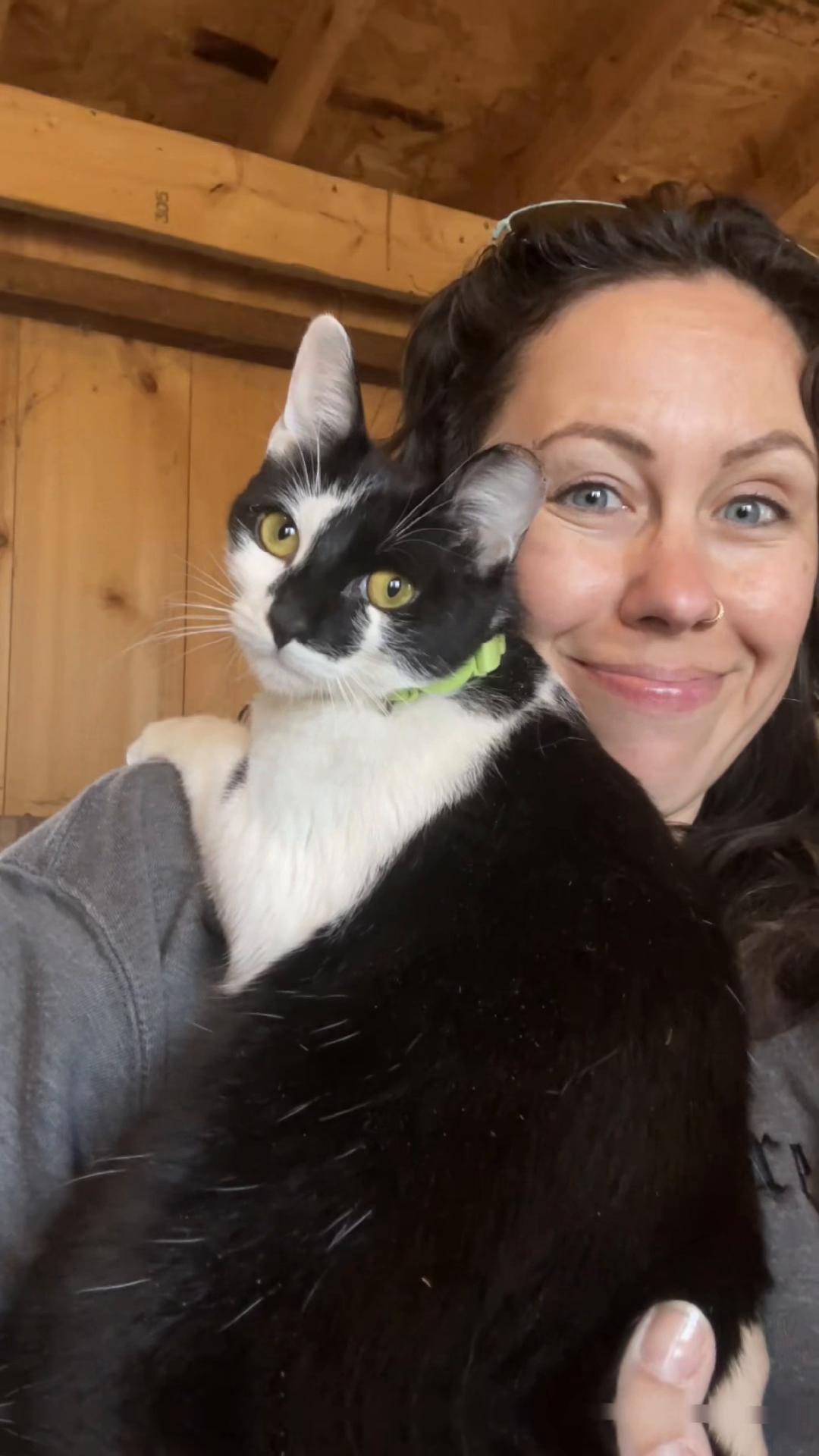 @TinySuburbanFarm
