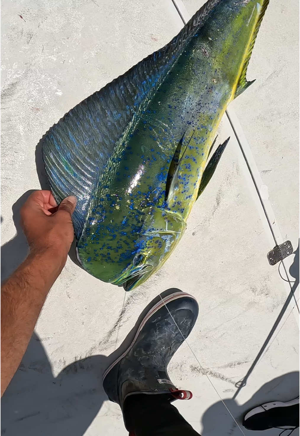 @Dripped Out Fishing Co