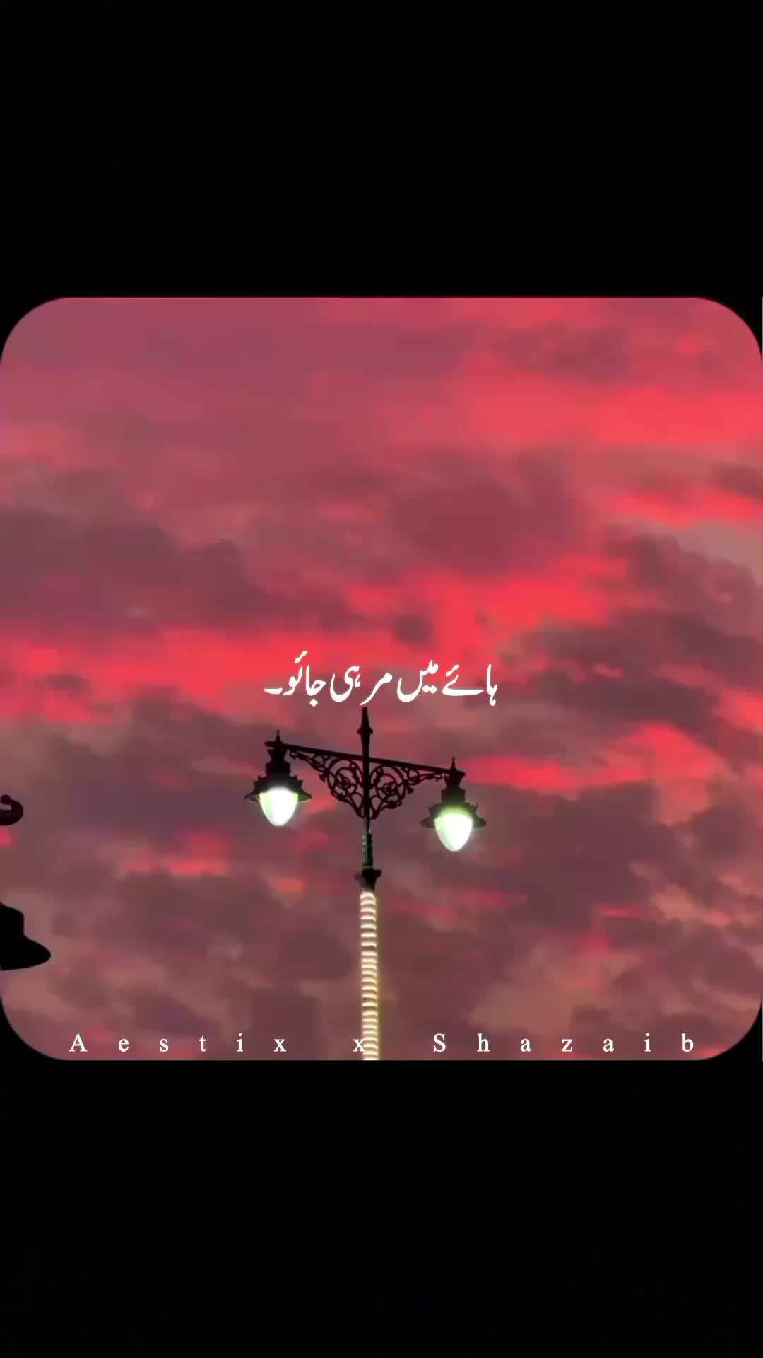 @Aestix x Shazaib