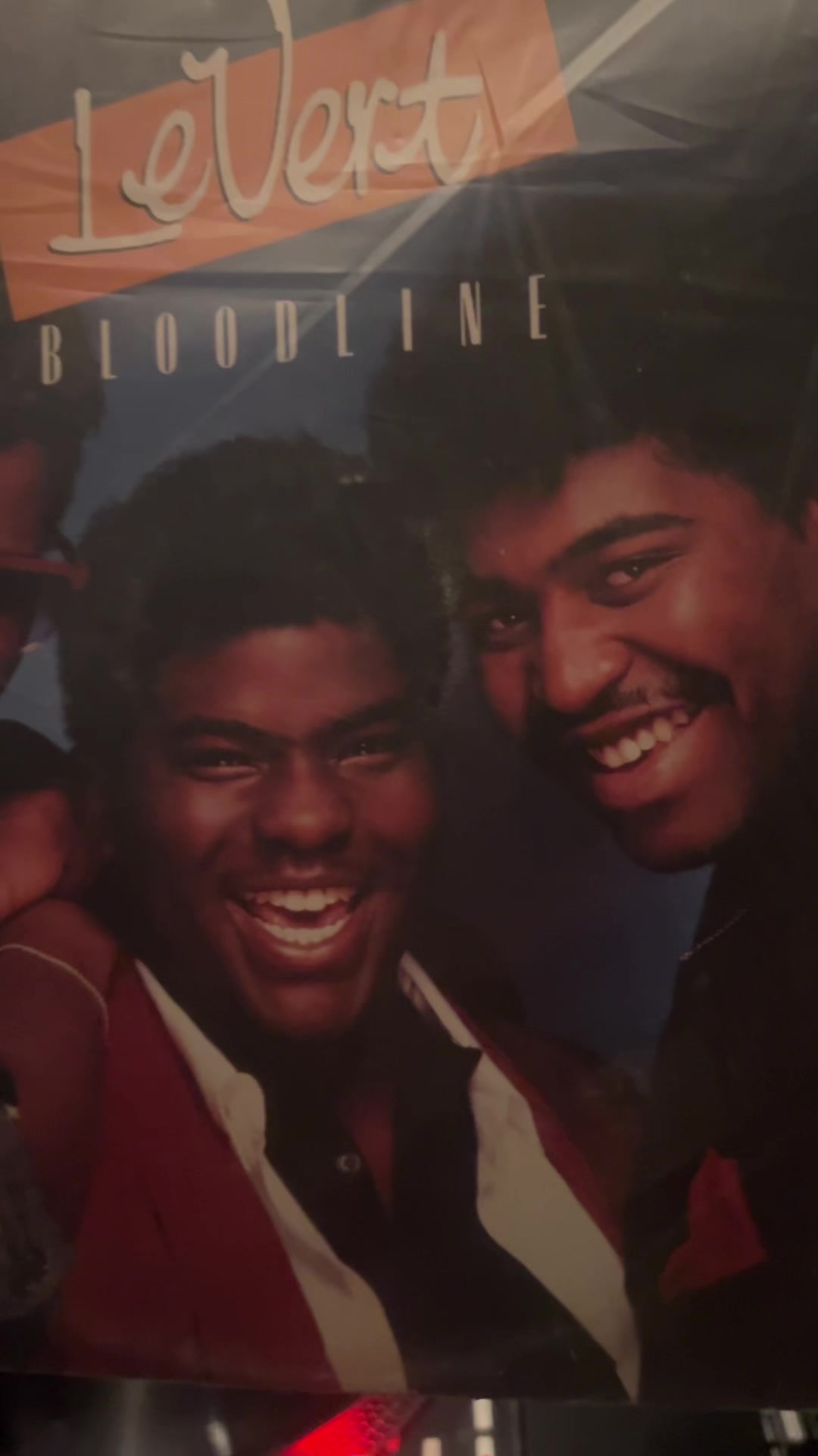 @The Vinylist
