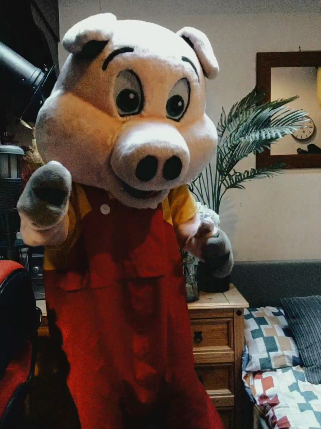 @Mascot Dan