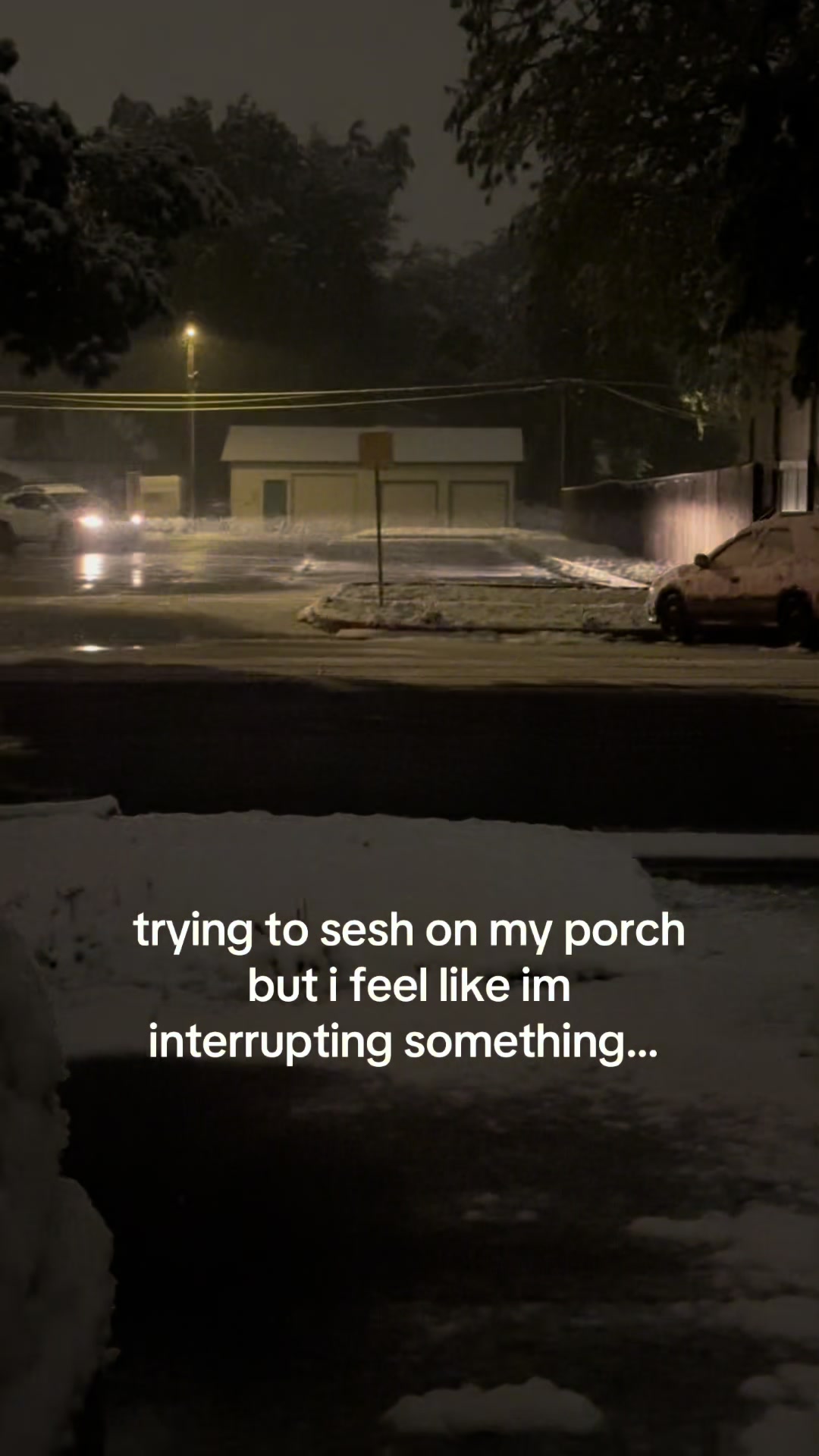 @lily