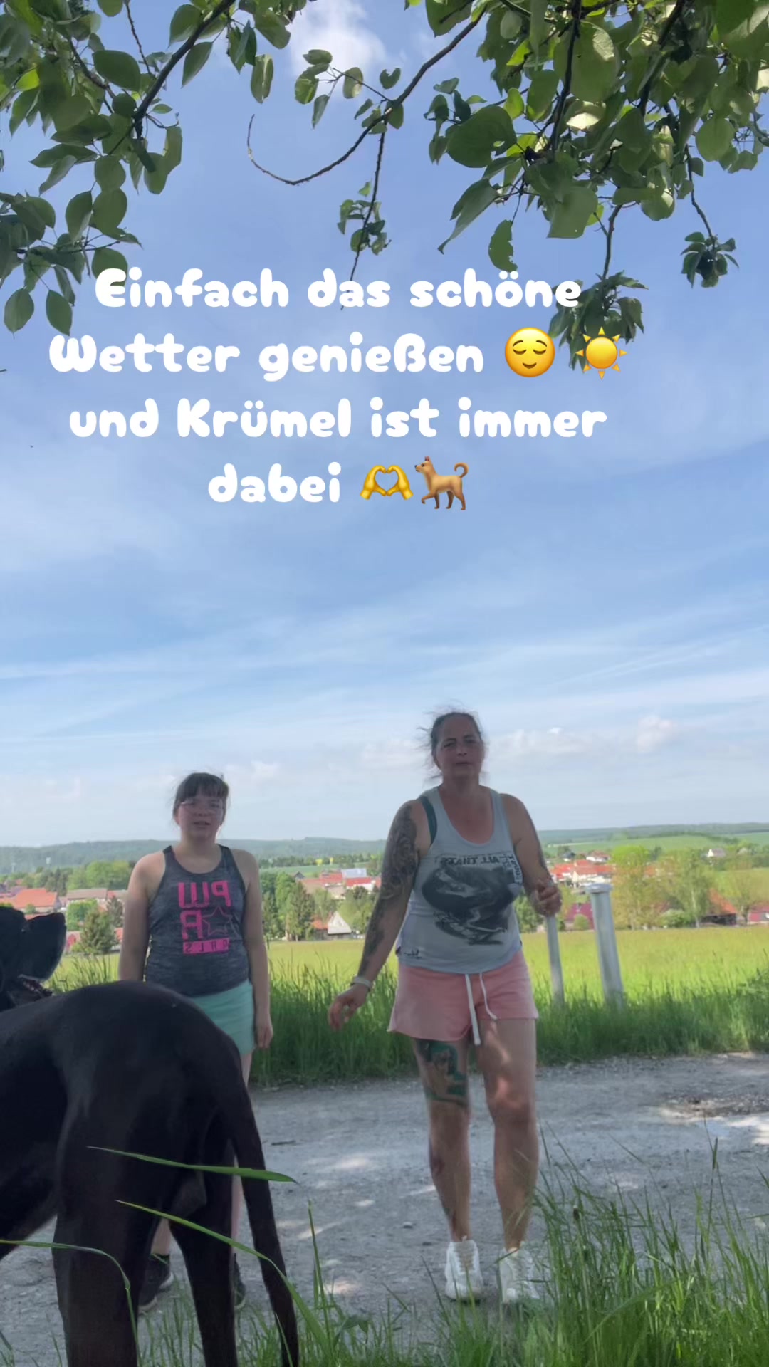 @Brötchen