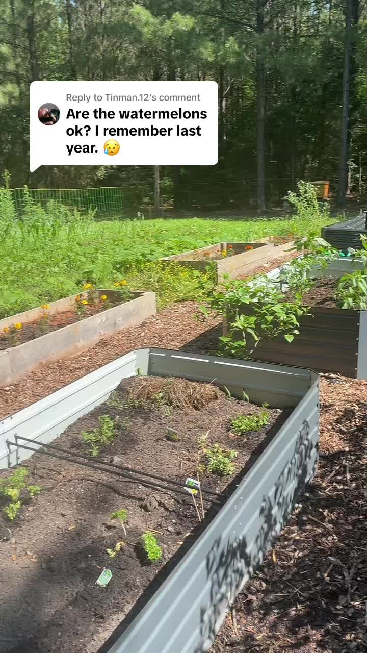 @Gray Acres Homestead