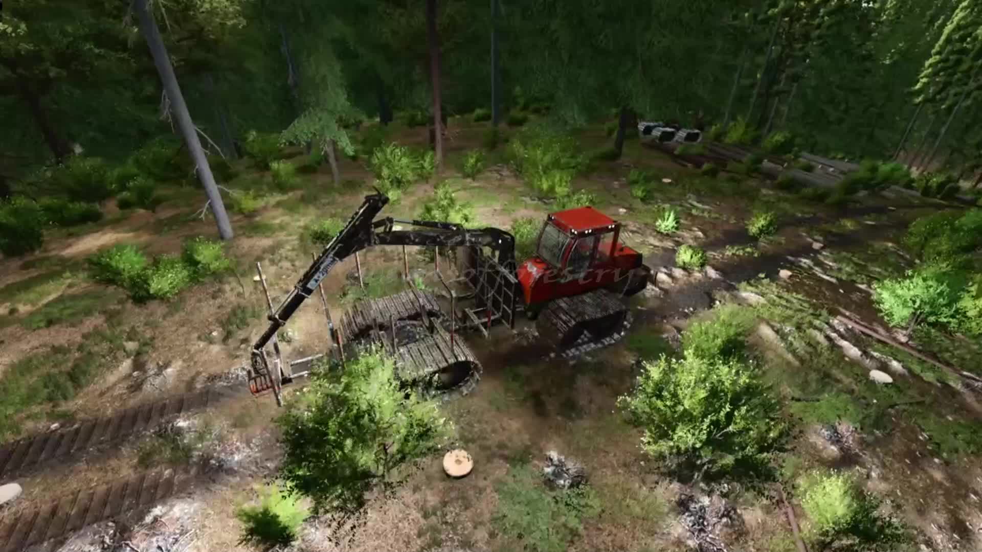 @SONS OF FORESTRY