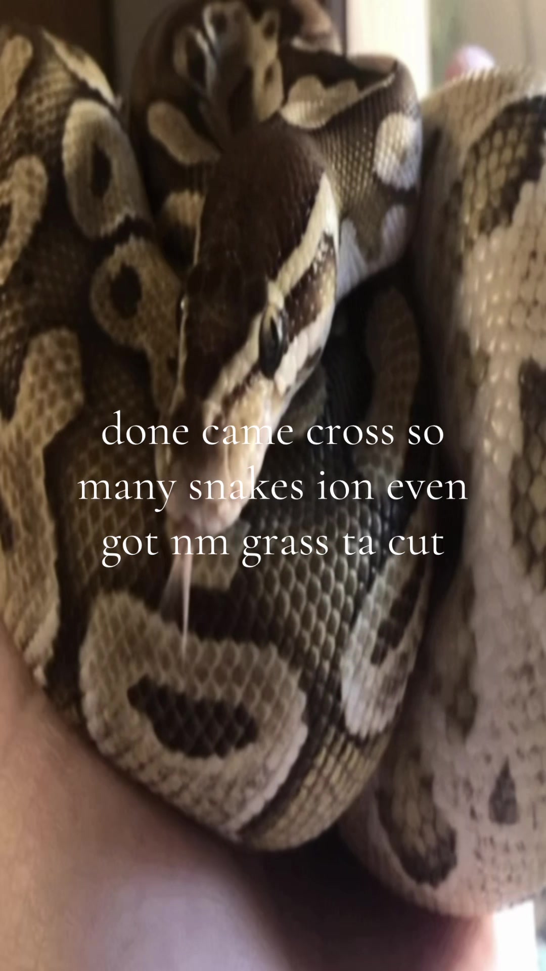 @self_inflikted