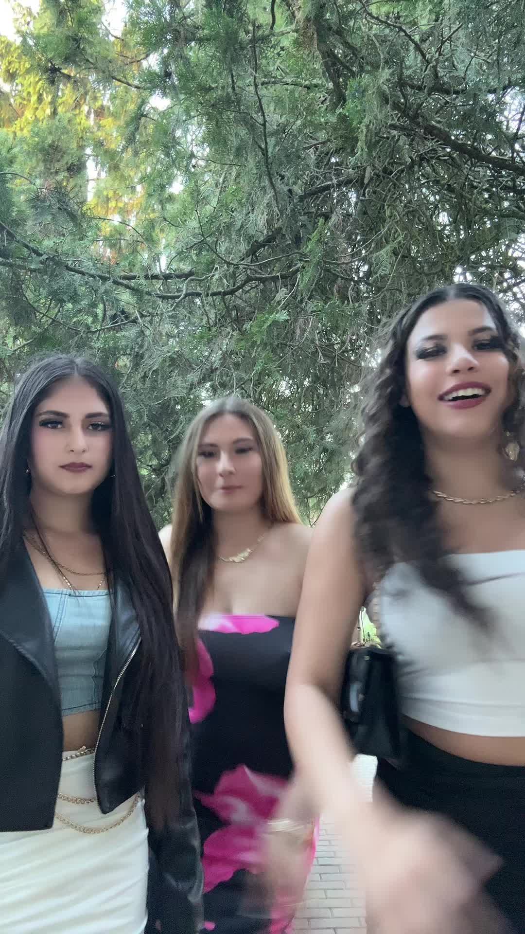 @🐍