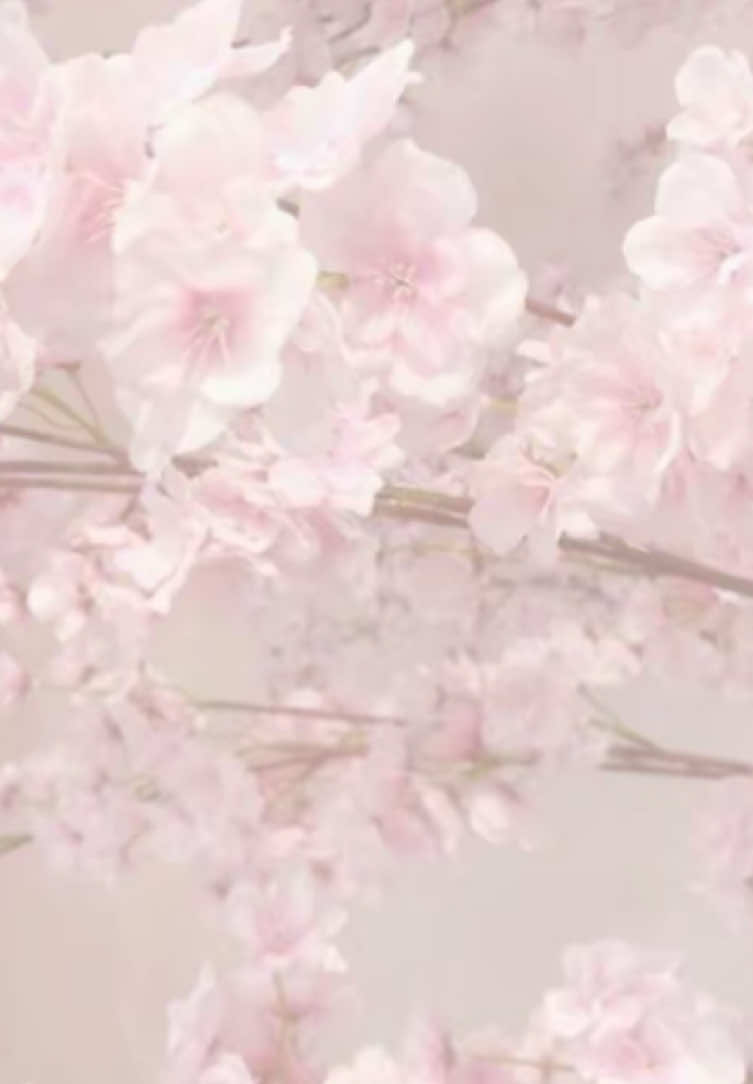 @เป๊ฐเพเฝฒ๐๐ช๐ป๐ฒ๐ช⁄๊ฑเพเฝฒเป๊ฐเพเฝฒ∩ห แต ห∩