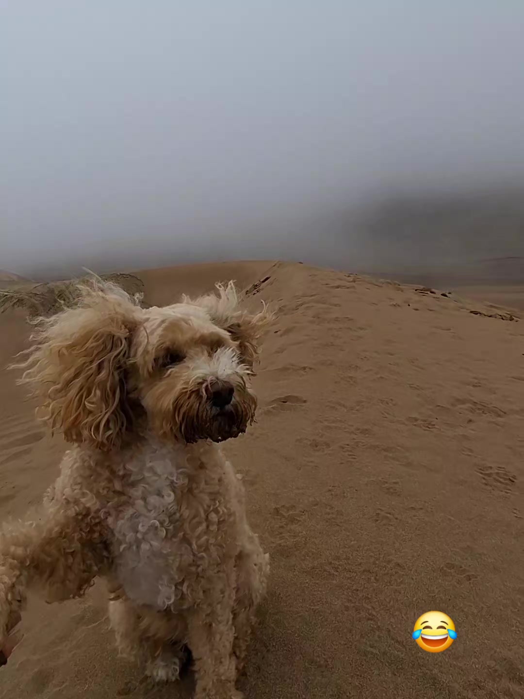 @💙Rocío🌊 ✨️