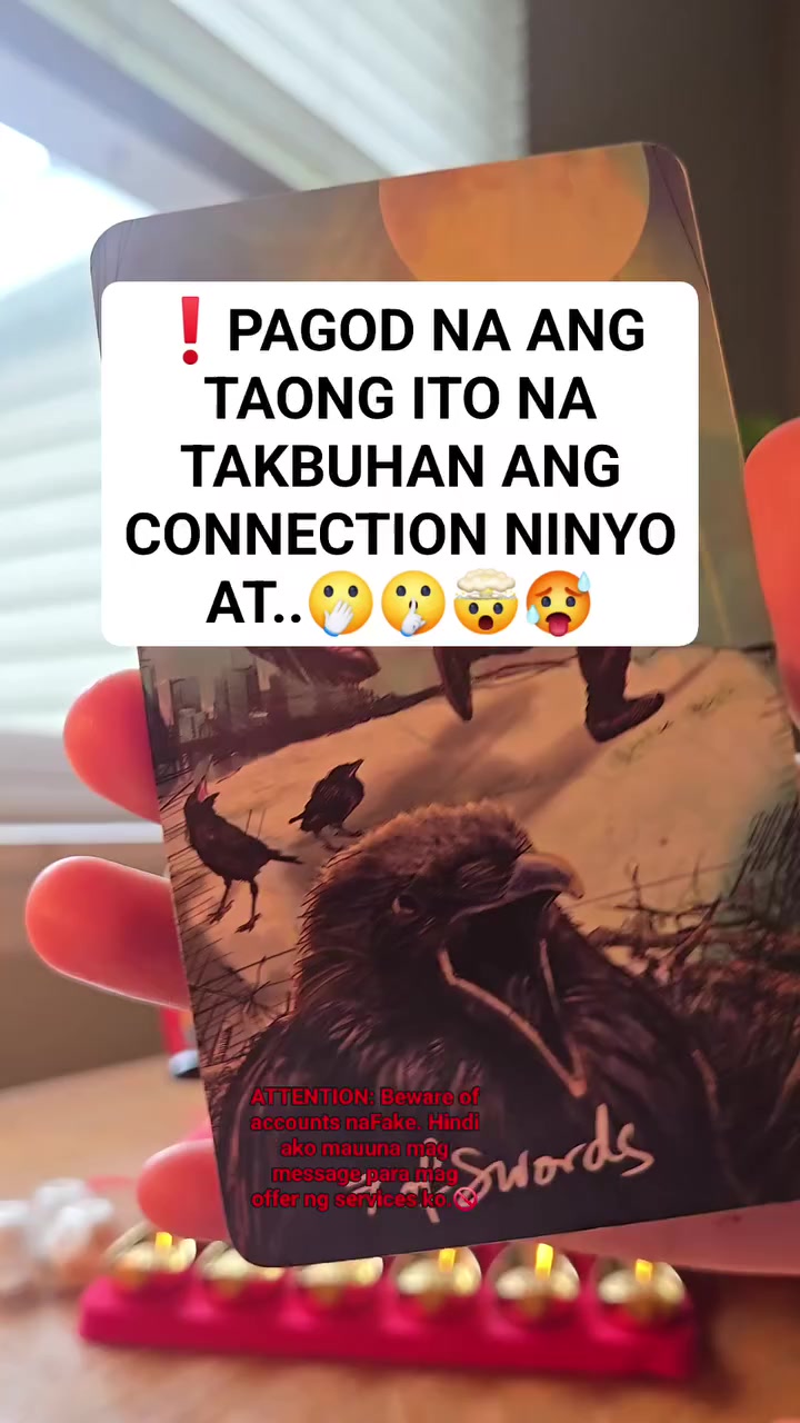 @thetarotreader11.11