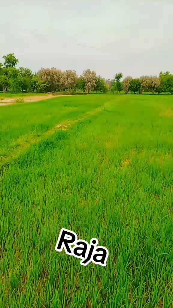 @🥃 RAJA ZAFAR 🍾