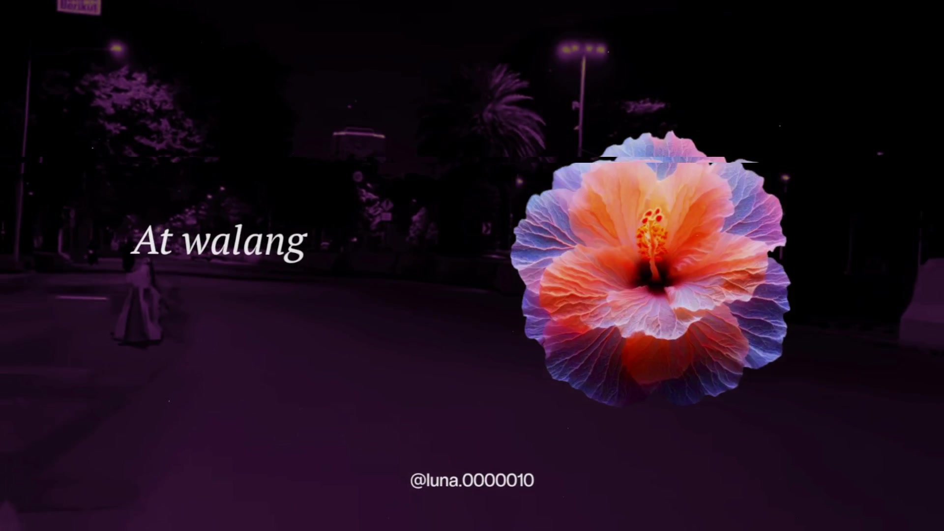 @L U N A ☾ ⋆