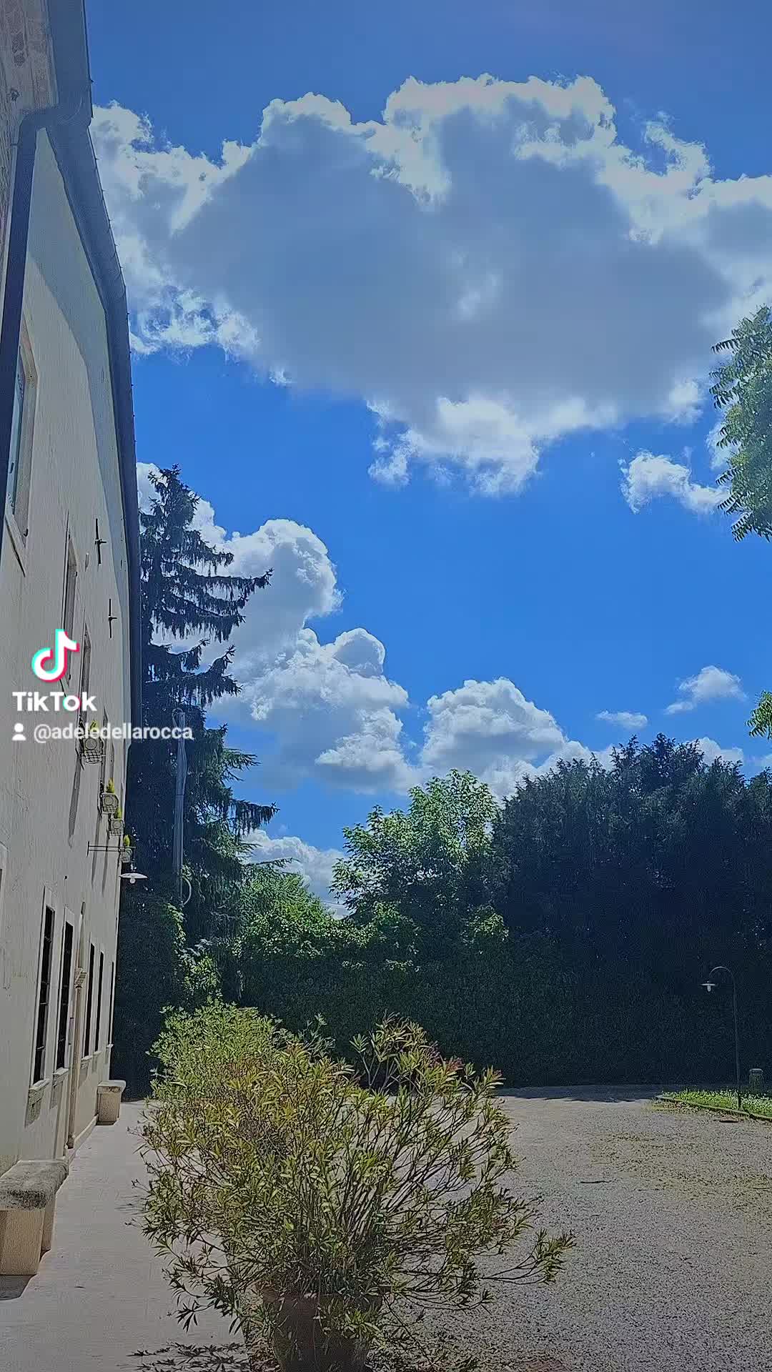@adeledellarocca93