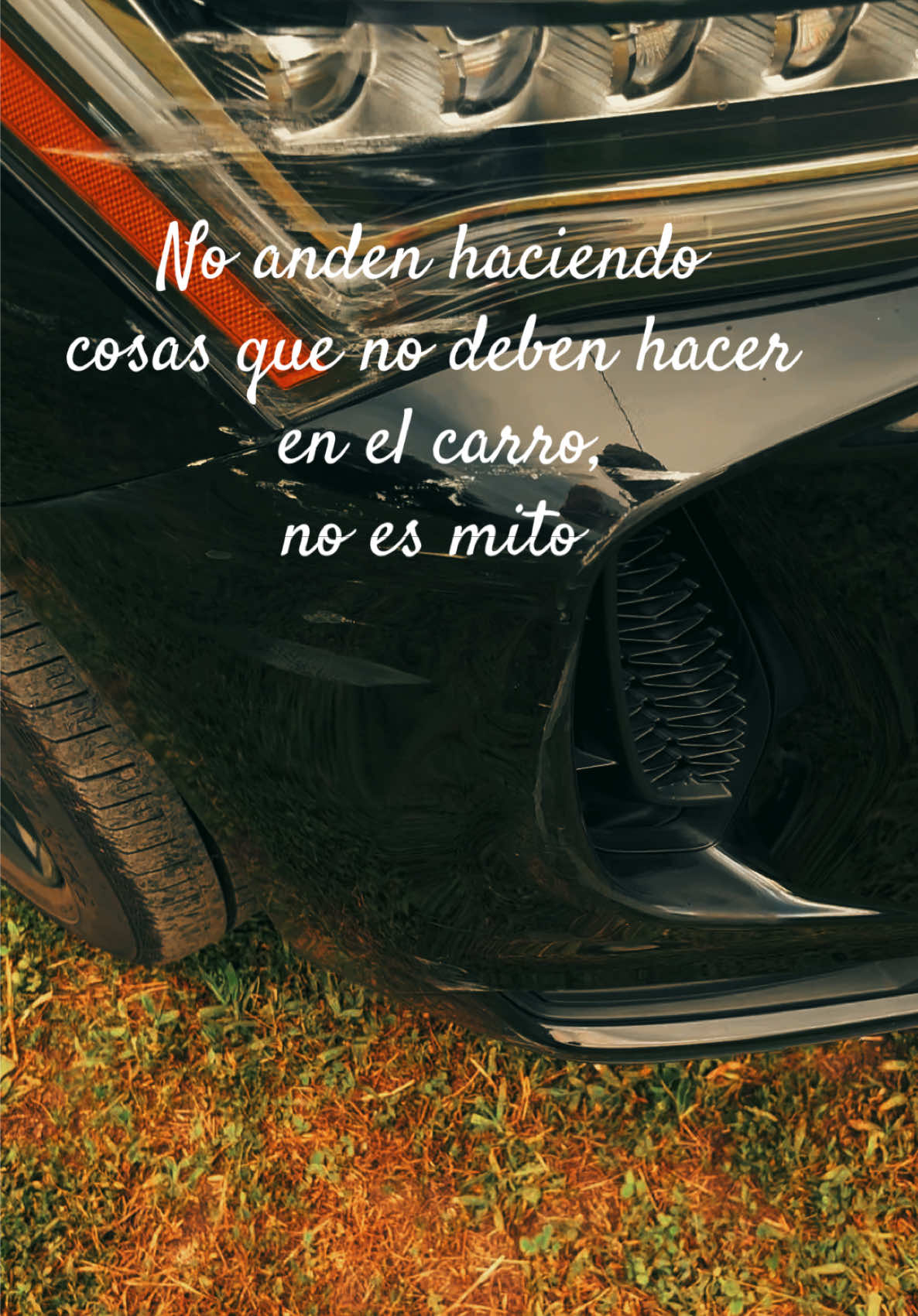 @Sarita🥰🥰