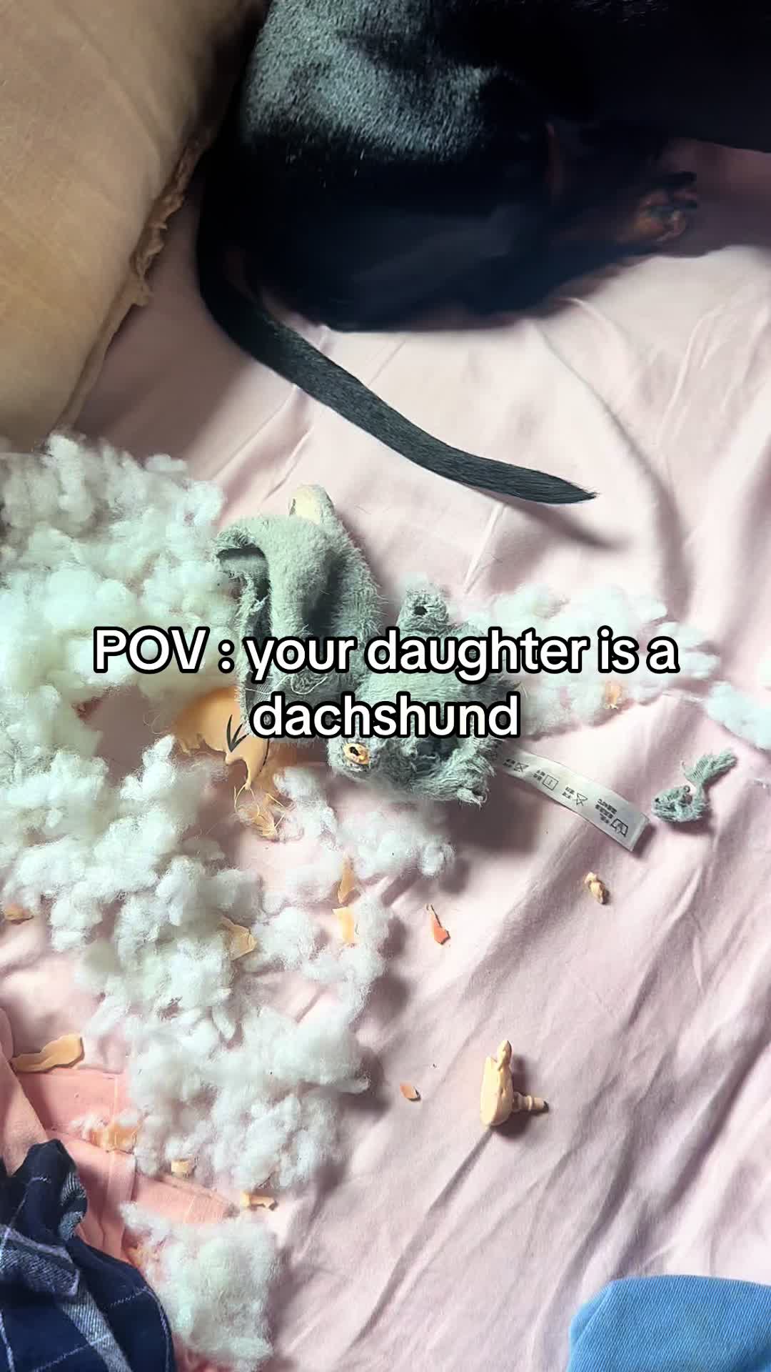 @Samantha Sulliman