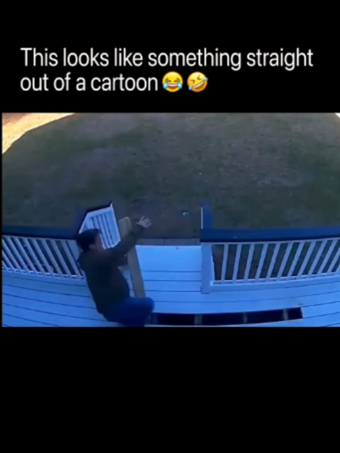 @DailyGoose