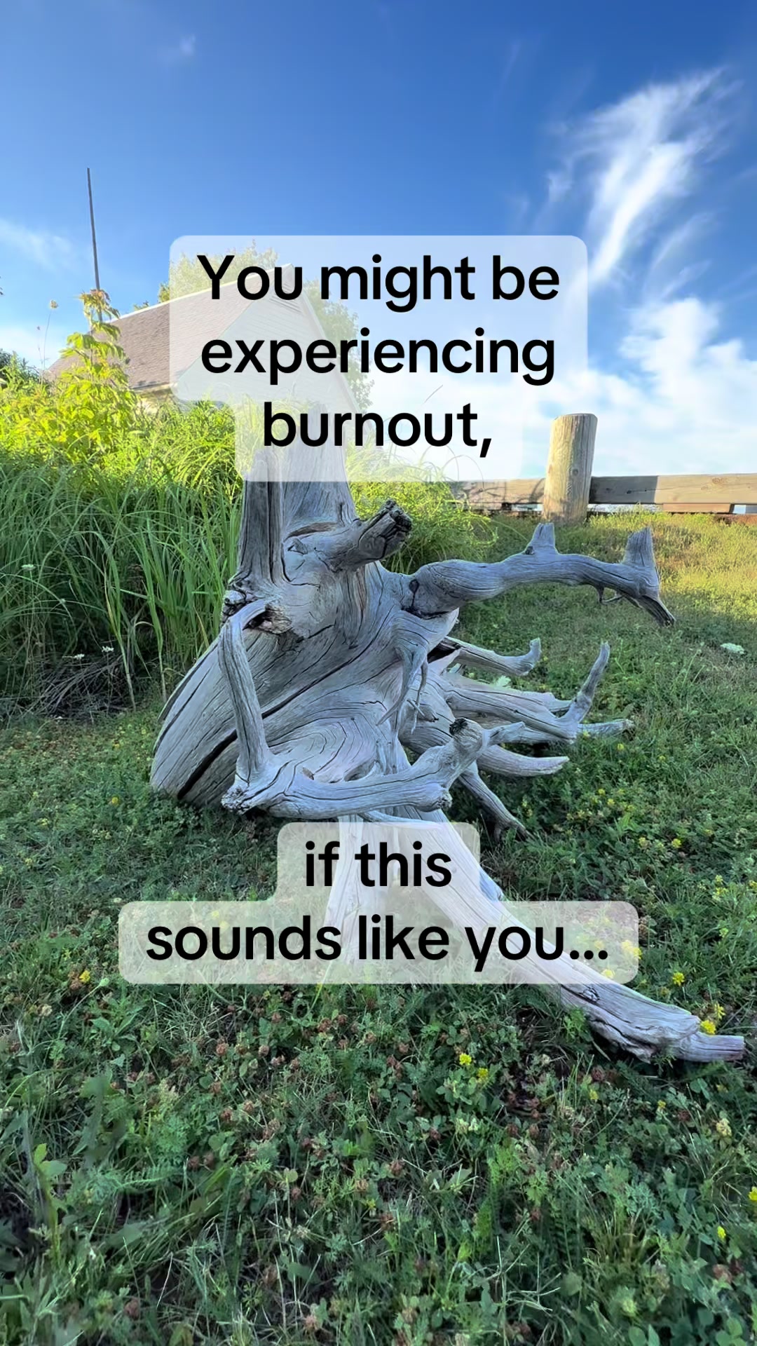 @QuietPivot 🇨🇦
