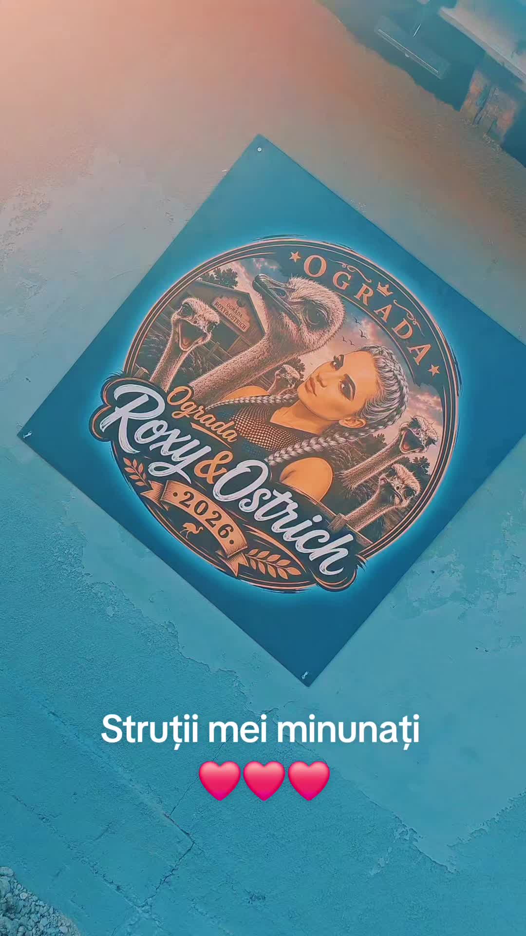 @Stancu Roxana Geanina