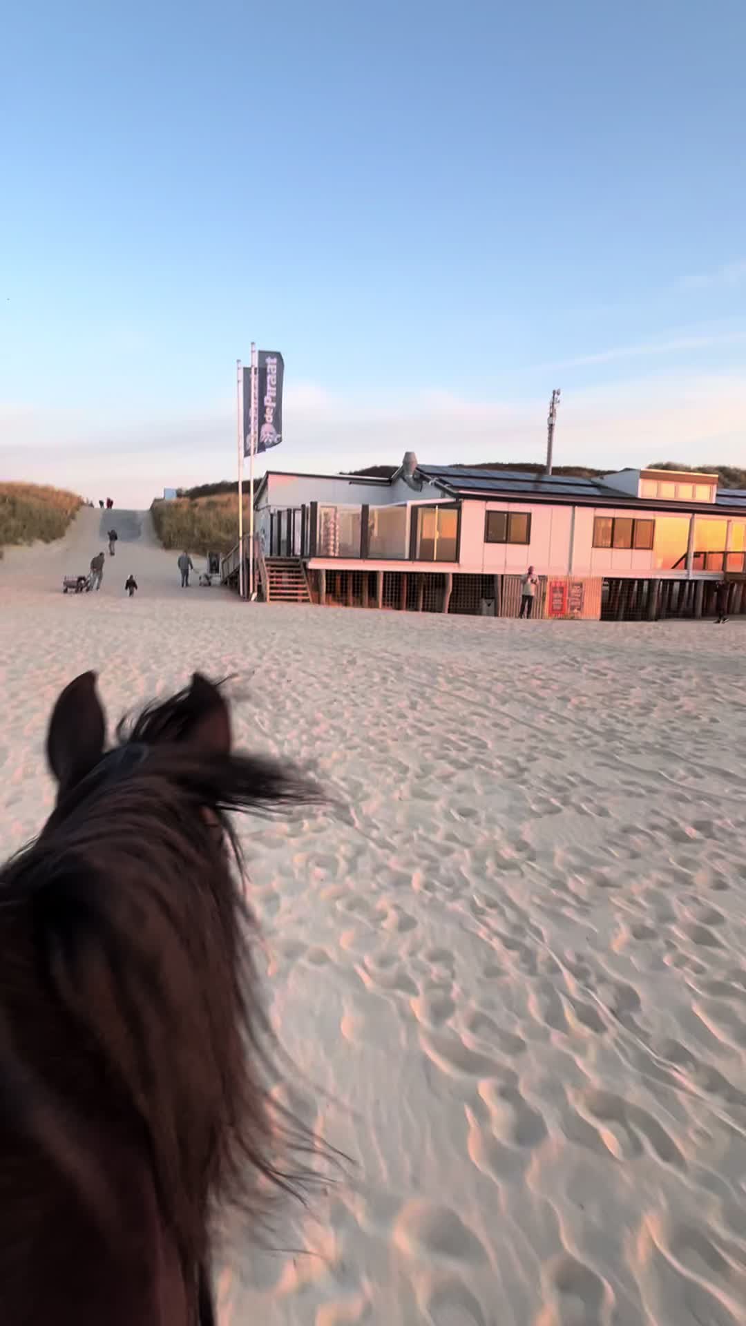 @Manege Duno