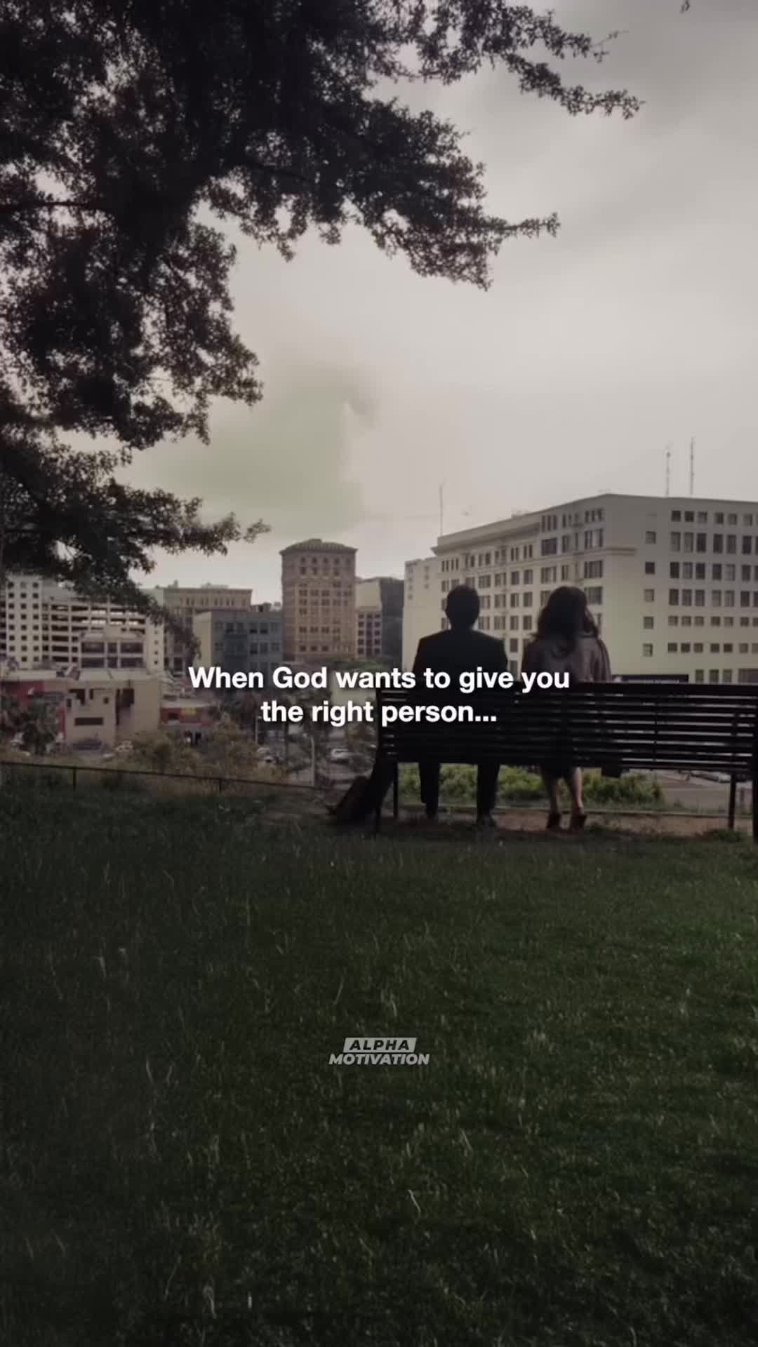 @Alpha Motivation