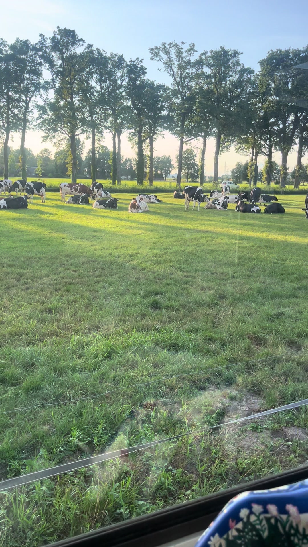 @zaterdagstrijders