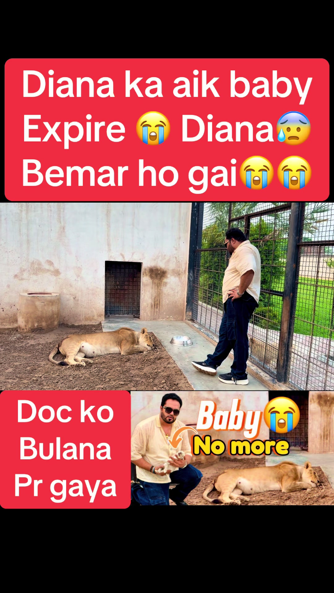 @Mian saqib