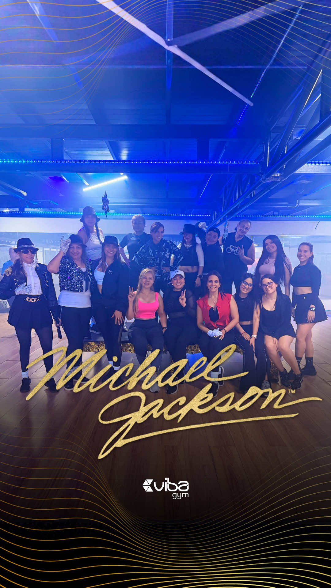 @Vibagym