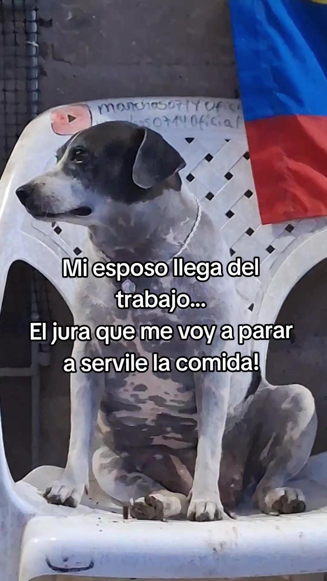 @MANCHAS 0714 OFICIAL