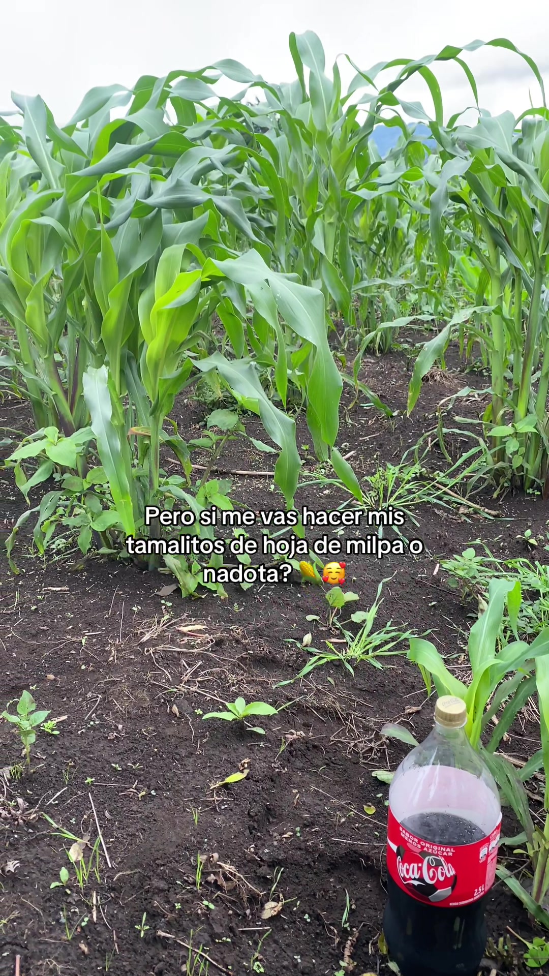 @Aangelito 