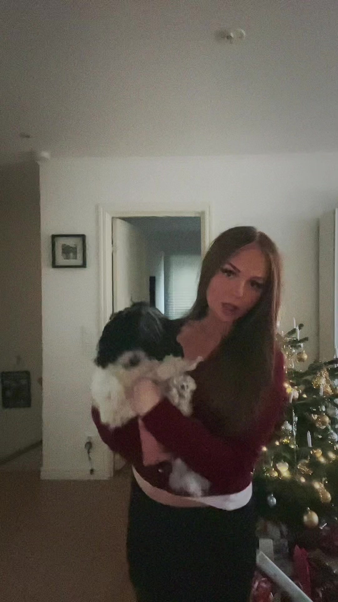 @🍾🍾