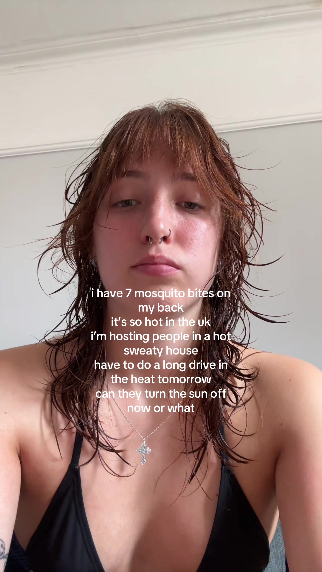 @ladybird