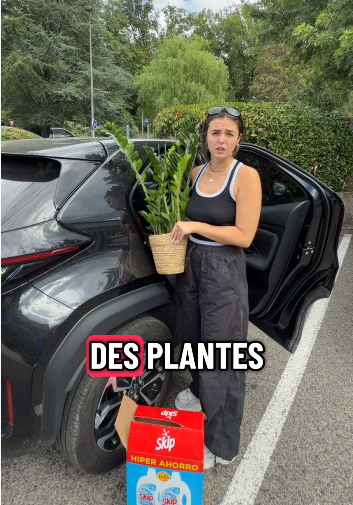 @alicetwocourt