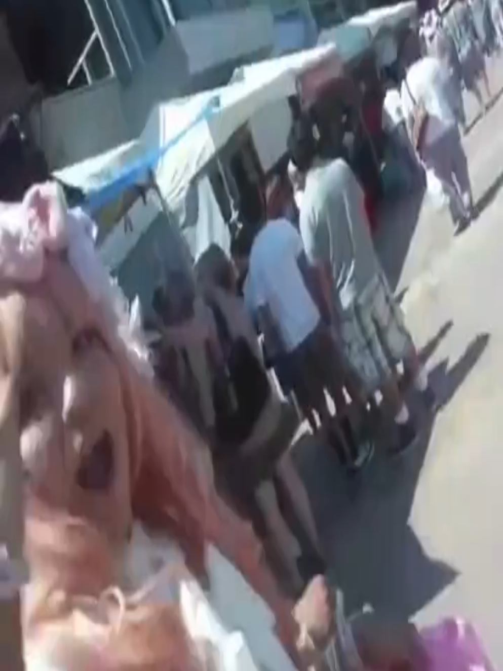 @catapixel