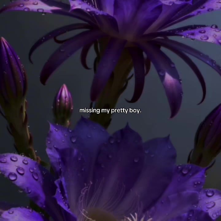 @luvbump