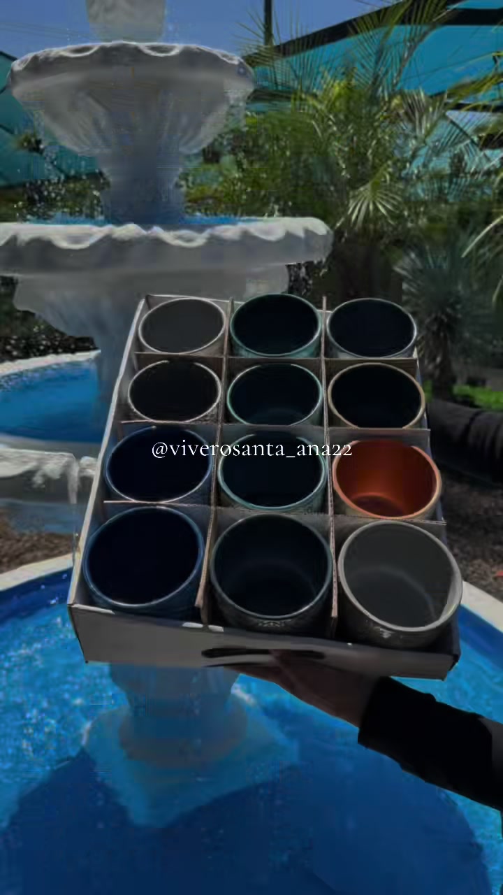 @viverosanta_ana22