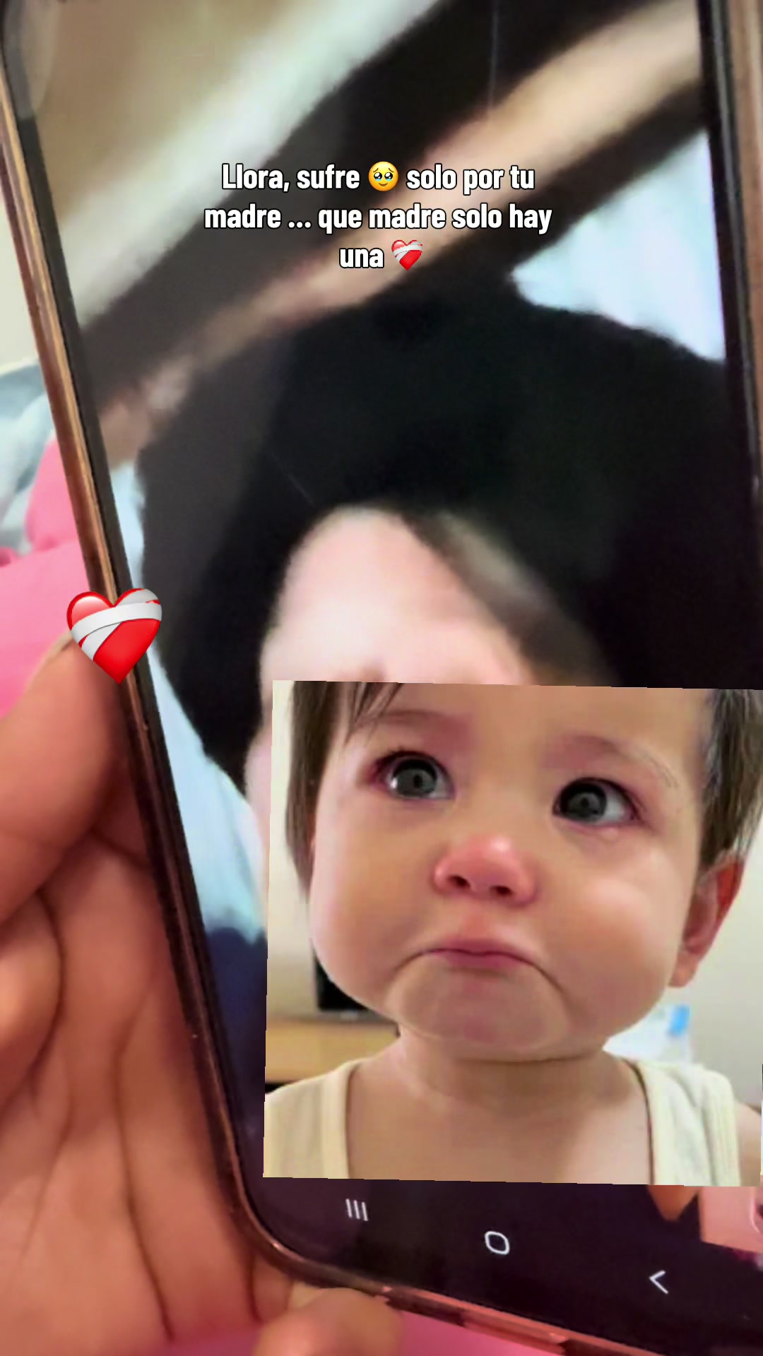 @๐ฆ๐ฅ๐๐ณ๐๐๐๐๐๐ฆ๐ฅ