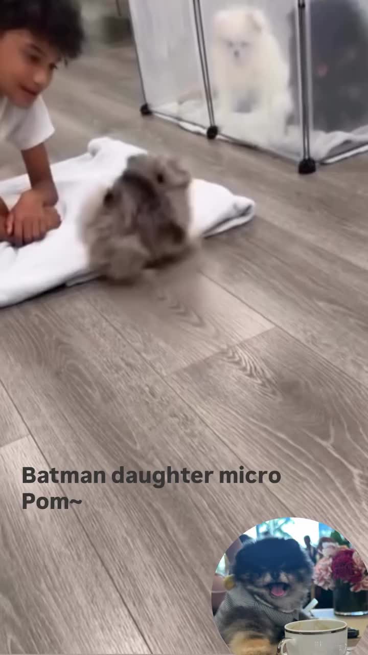 @pupsrepublicusa