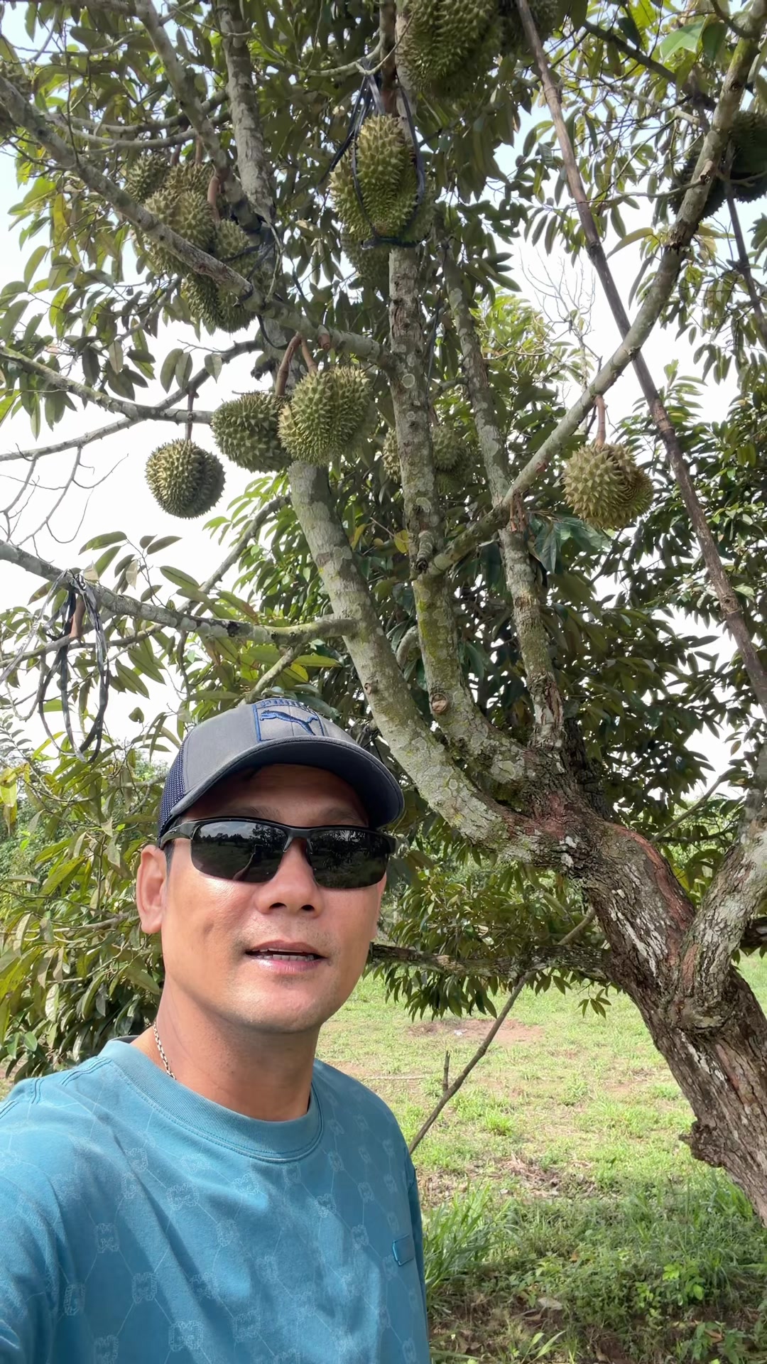 @Sun Meng Hy / ស៊ុនម៉េងហុី