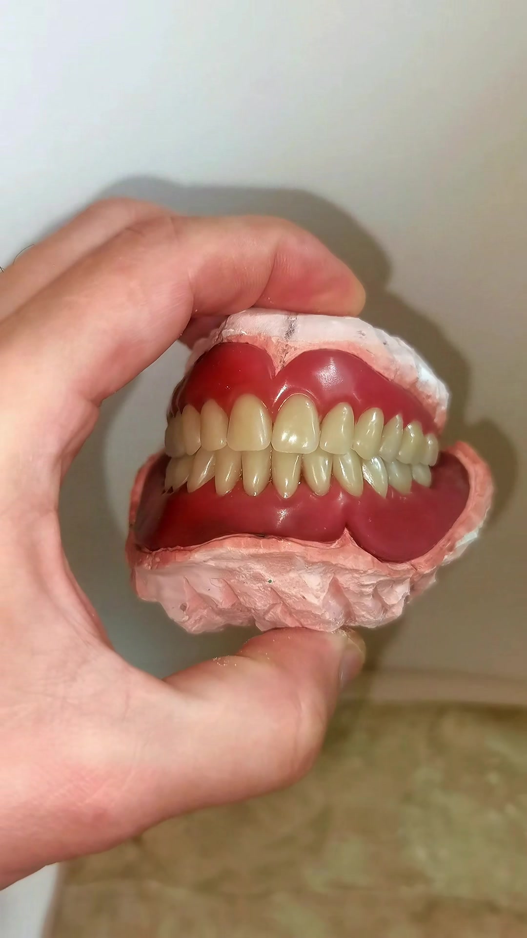 @๐ฆทโโฟโ•๐ฐ๐๐ฅ๐ข๐โทโบโโฟโ•๐ฉ๐ซ๐จ๐ฆท