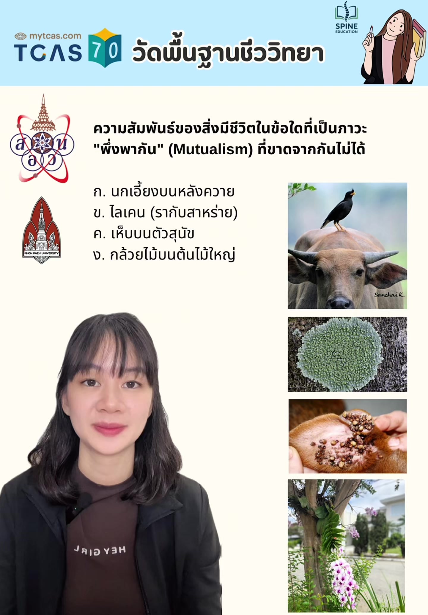 @Biospine by ครูหนาม