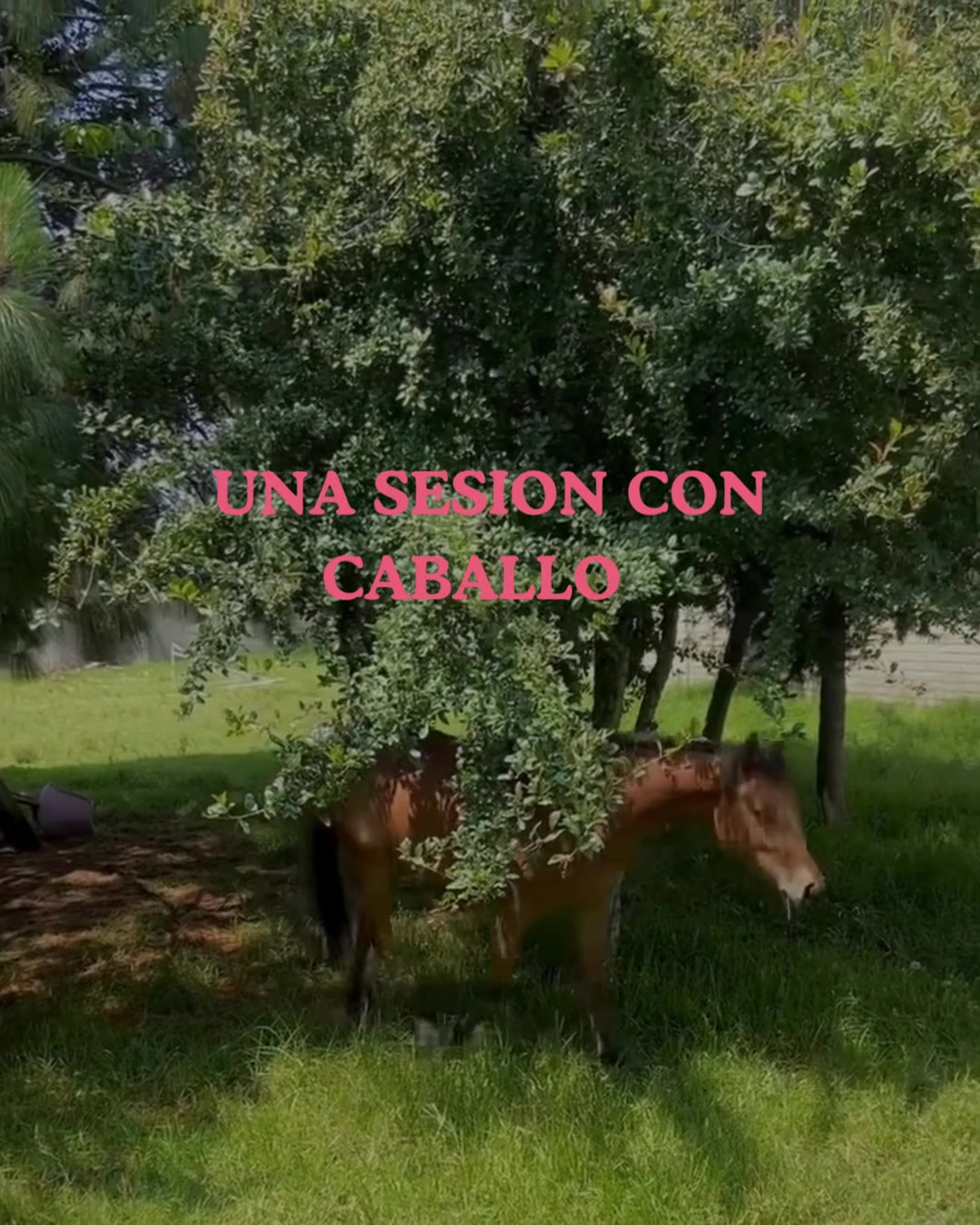 @Shaktali Energia del Corazón💕