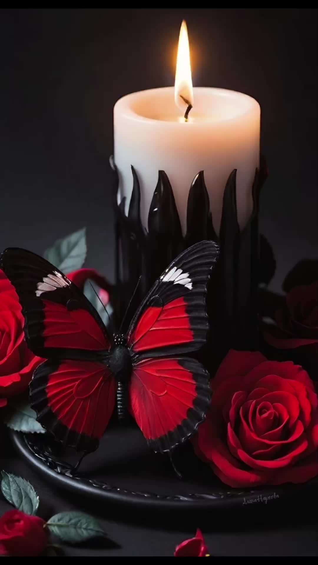 @OBSISHA GO🦋